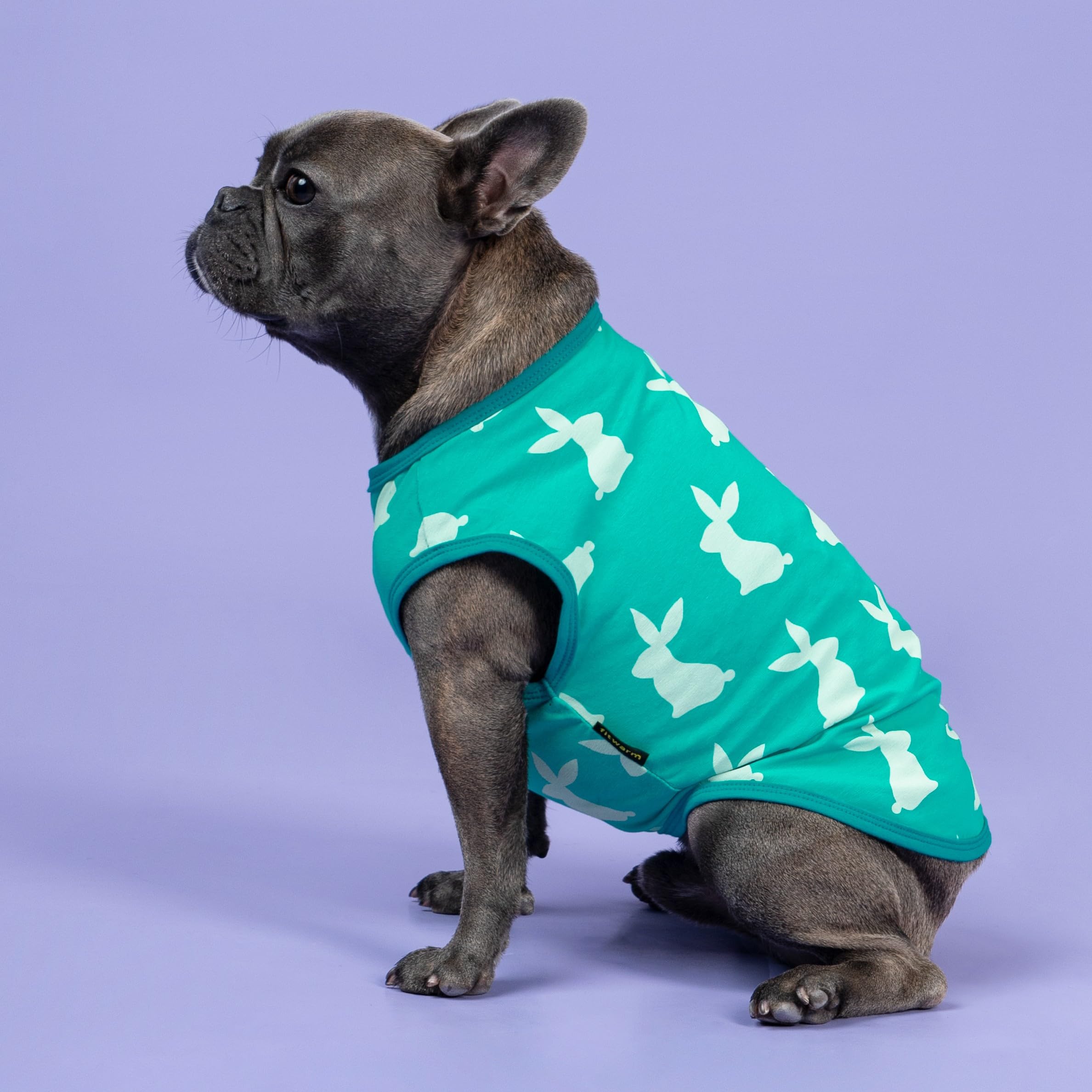 Fitwarm Easter Bunny Dog Shirt, Dog Clothes For Small Dogs Boy Girl, Pet Cat Holiday Outfit, Teal Green, Xl